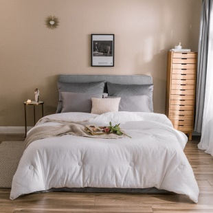 Two-in-one quilt mulberry silk soybean fiber jacquard quilt core student Single Double soft Four Seasons quilt