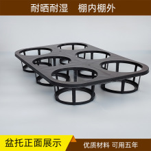 工厂批发六6孔托盘园林花艺盆栽植物周转盘 花卉树苗育苗托架供应