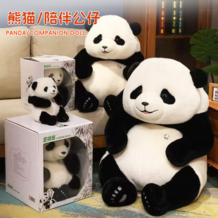 ����؈��ż����PP��ë�q�����؈���ރ�ͯ���նY�����@�YƷ���l