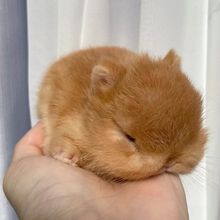 С���ӻ���٪�����L��������С�͹������m�����ò豭�ü��B������