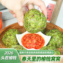 2026���X�C�C�^���r�F���^��Ұ�ˈF���z�^���X�x�p0�ͷ������ʳ