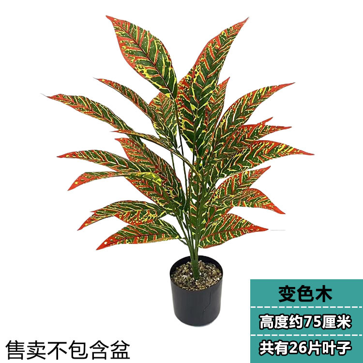 26枚の葉の色が変わる木材
