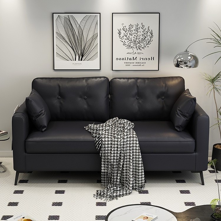 Sofa for Small Apartments, Double or Triple, Rental House, Apartment, Clothing Store, Seating Area, Reception, Black Lazy Living Room Sofa
