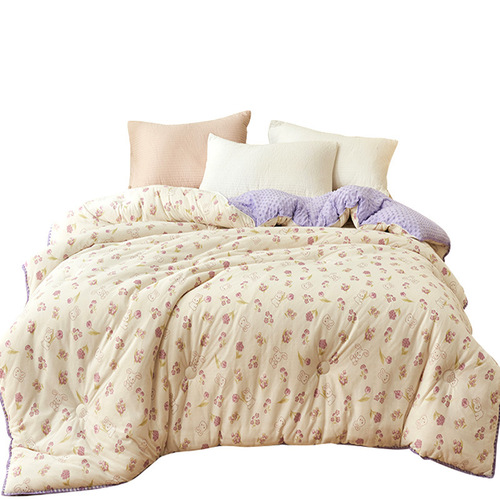 New product Class A double-layer gauze bean quilt double thickened soybean quilt dormitory autumn and winter warm quilt core mattress