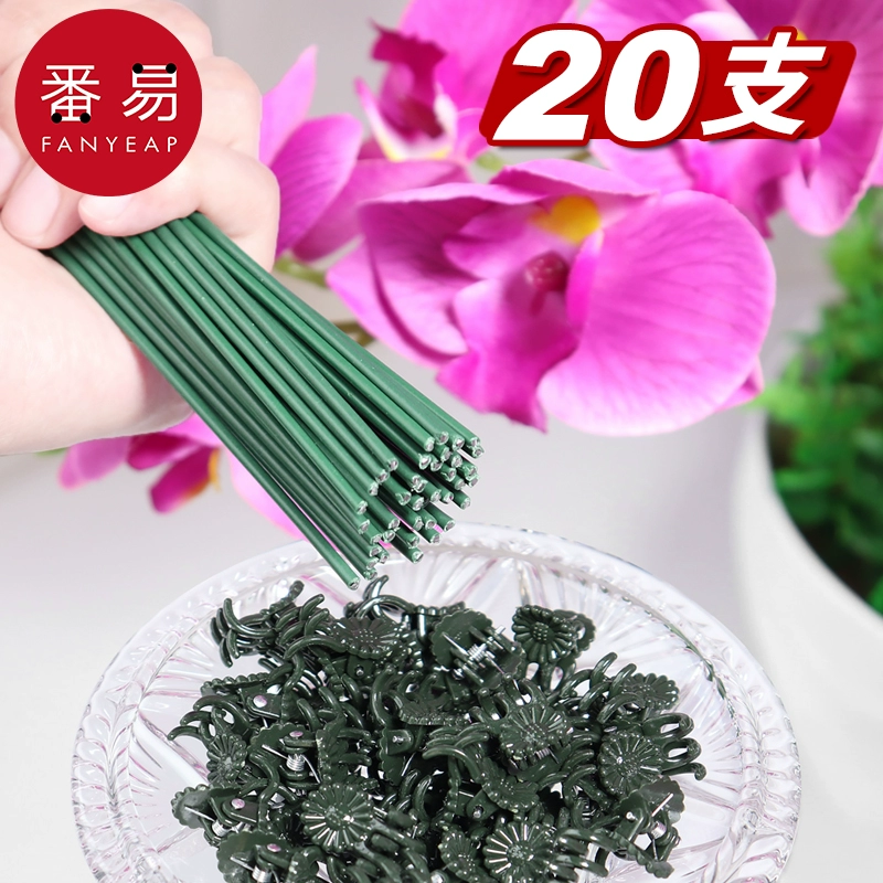 J Восхождение на виноградную лозу цветочный горшок в горшке с денежным деревом