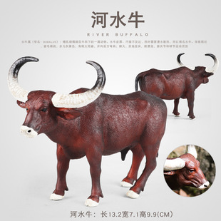 ���������߃�ͯ���Ͻ̾��J֪����ˮţ��ţ�L��ţ�ߠ�ţɳ�P���k