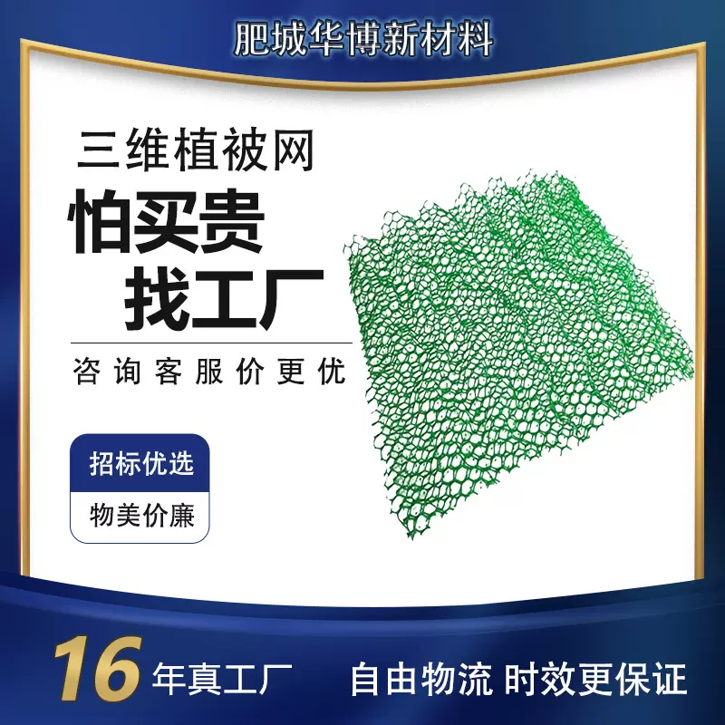 定制三维植被网聚乙烯HDPE植草网山体河道护坡生态网垫EM5柔性