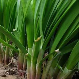 �����t�²��ϸ��t�����~���~�͟��ͺ����r�߲�