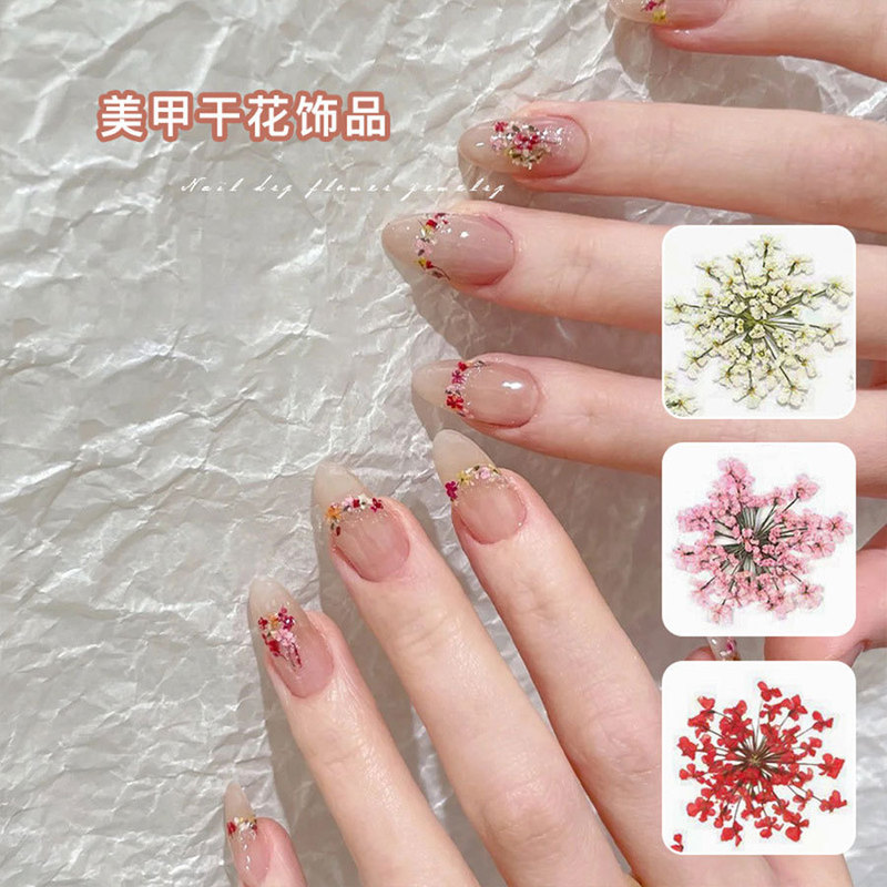Super Full-Color Nail Art Dried Flowers Japanese Style Fresh Baby's Breath Real Flowers Small Floral Nail Decoration Accessories Decals