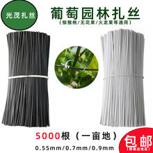 �������z�r�I�@�ֽ�֦�z�Nֲ�J���ҟo�����@ˇ��������5000�l���]