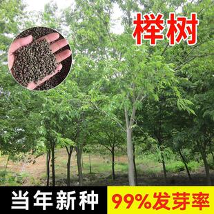 �Θ�N�� �t�Θ� С�~�Ә� С�~�t�� ���~���ηN�� ���~�Ә�