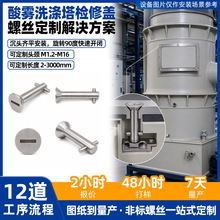 定制酸雾洗涤塔检修盖螺丝不锈钢316L沉头一字槽无牙快速开闭螺栓