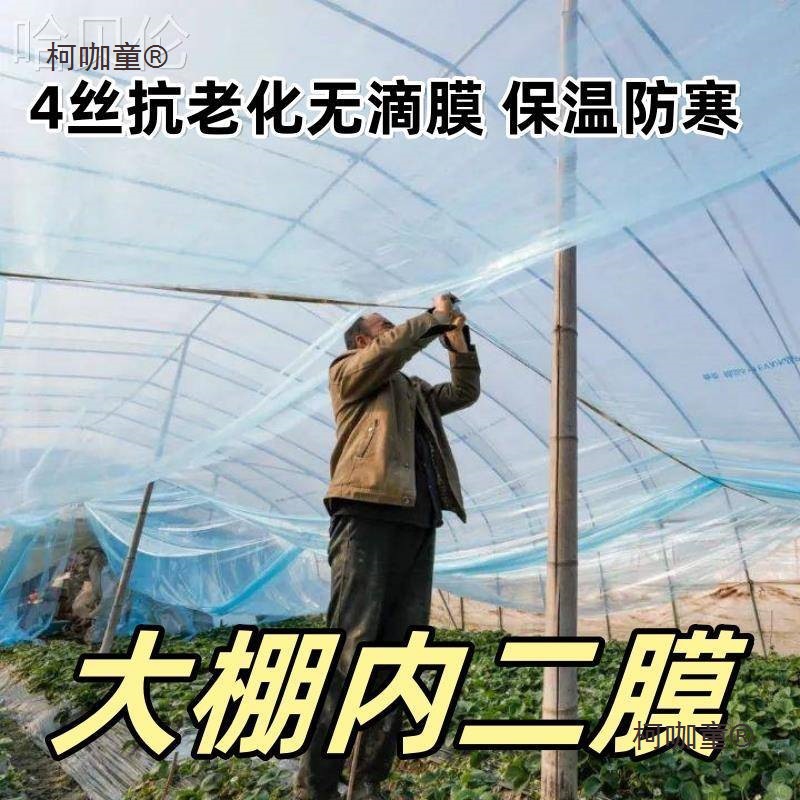 小防寒二层种菜二模大棚树无滴膜膜罩盖塑料薄膜保温拱棚雨麦太保