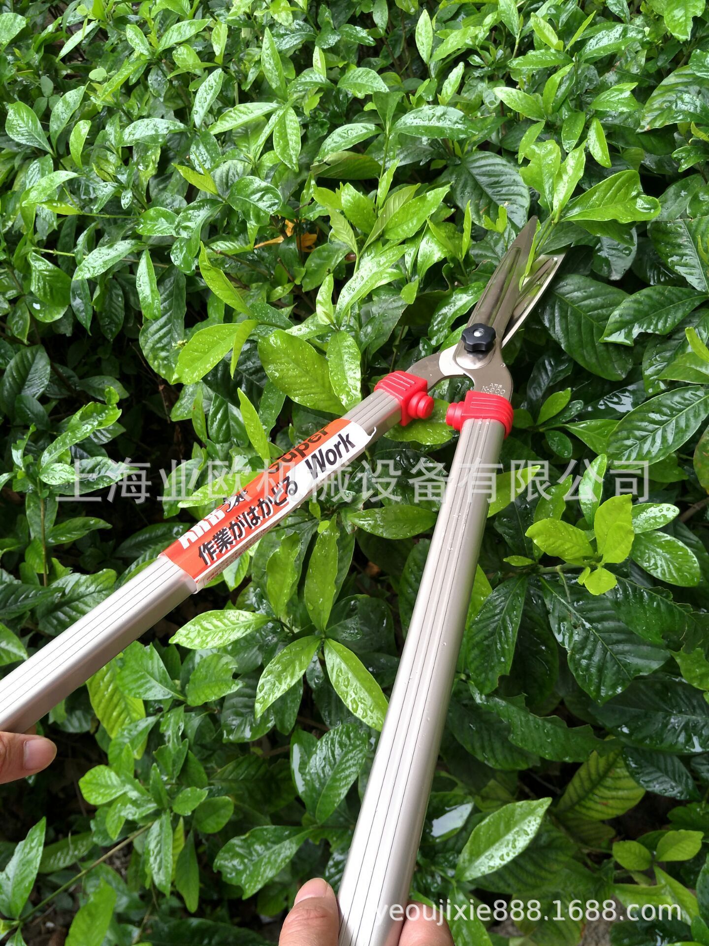 日本ARS爱丽斯K-900绿篱剪枝剪 大平剪 园艺大剪刀 整篱剪