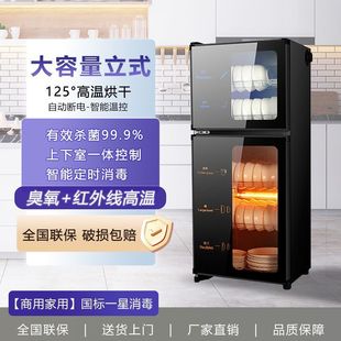 Household Double-Door Vertical High-Temperature Drying Cabinet for Sterilization, Suitable for Home and Commercial Use in Restaurants, Stainless Steel, Large Capacity