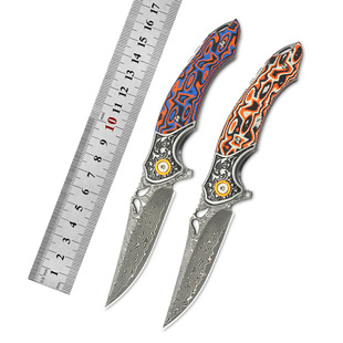 �羳�S��ֱ��DM024���Rʿ��� ֲ�w���pɫ�ۯB�������S����y