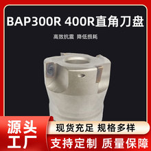 R390��Ƭ�m��ɽ��R390㊵��P50R0.8-63R0.8���ص��P���^���ص���