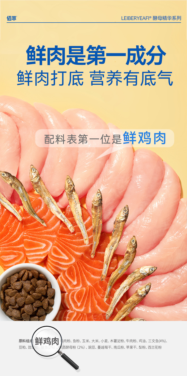 鯷鱼_06