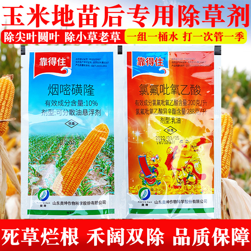 玉米苗后除草专用剂靠得住玉米除草剂玉米地除草烂根剂封草不伤苗