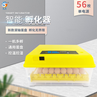 56öһ�I�յ�С�ͼ���С�u�����C �L�S�g�������� �u���Z�B������