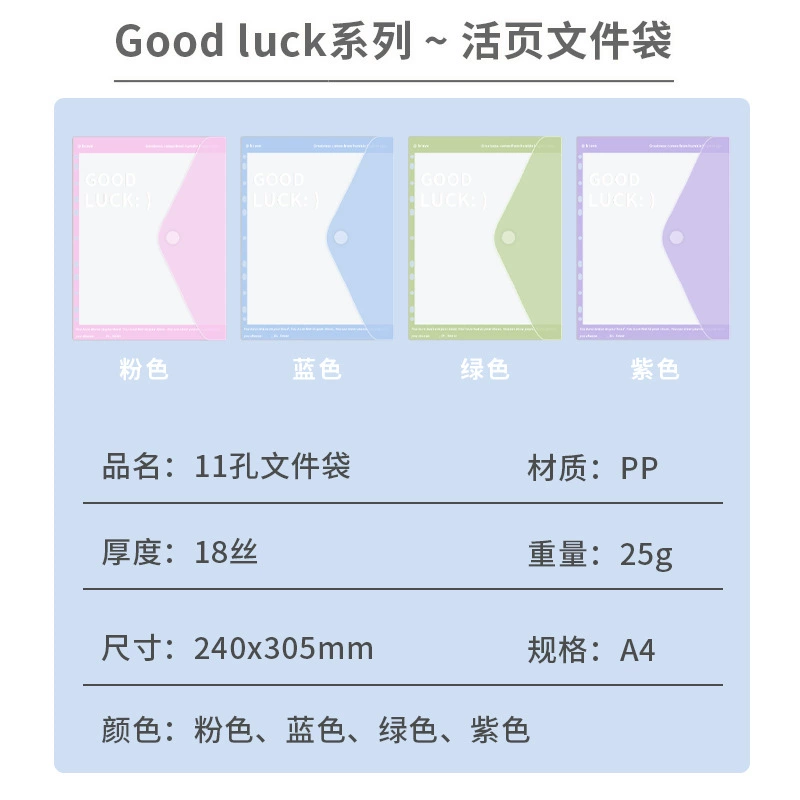 Folder, storage bag for students for folders, tear-off sheet