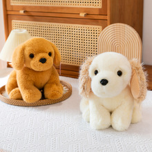 �羳ſſ���ɐ�����Ȯë�q��żſ�˽�ë��������������޴���С��