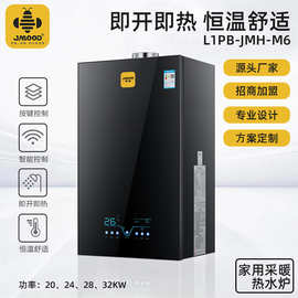 燃气壁挂炉热水器家用洗澡采暖炉天然气地暖液化气节能暖气热水炉