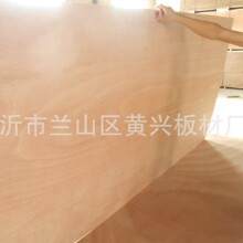 19.5mm ľ һоȸNߴ Sֱ