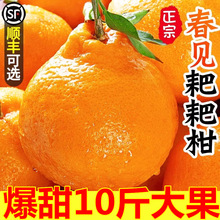 �Ĵ���Ҋ�ҰҸ����θ̽������𮔼��������rˮ����̽۰��]