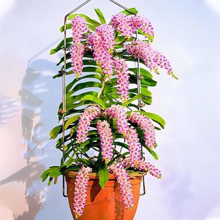 Խ�����m��β�m�f���m�������Ը����m�쾰�Gֲ������