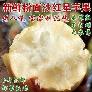 �t���O��(�t�㽶,����ζ),�����O��,�m�ϋ��׃������˳�!���r����