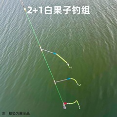 キラキラ湖海釣り白梅白果子黄姑夜光フック磯釣り船釣り丸世フックグループ白姑魚釣りグループ