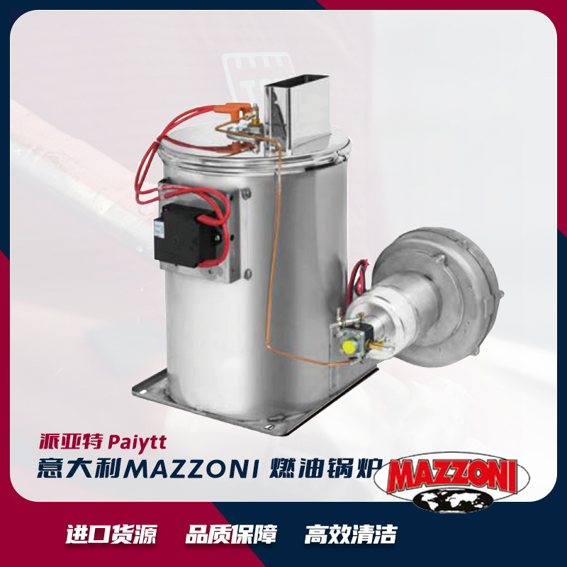 意大利进口 MAZZONI  燃油加热器  畜牧业清洗设备 加热锅炉