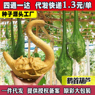 �Q�׺��J�N���ļ���������С���J�N�Ѿ��ͺ��J��ͥԺ������J�N��