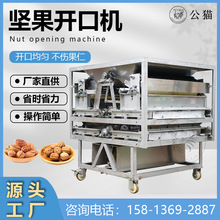 双层不锈钢坚果开口器 鲍鱼果核桃碧根果巴旦木商用破壳机
