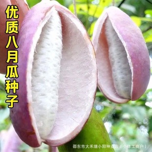 ���¹ϷN���ļ��NֲͥԺ�Nֲ�o�Ѱ��¹Ϻ��׷Nֲ