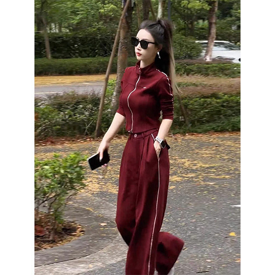 休闲气质时尚套装女2025年秋季新款高级感修身立领上衣显瘦阔腿裤|undefined