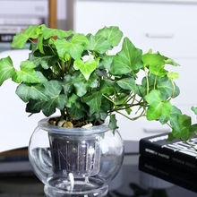 �����پG�}ˮ��ֲ�ﻨ�����԰lؔ����m�J�C�����҃ȃ����՚�ֲ��