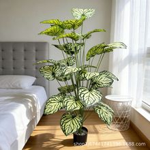 �羳�����������G�}�~�Ӵ��~Ƭ��c���W�L�Ҿ��b������쾰�Gֲ