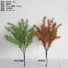 ����Gֲ����ɼ��Y�Ƶ�Ҿӈ������ñ���3D����ɼ���R�d�羳���T