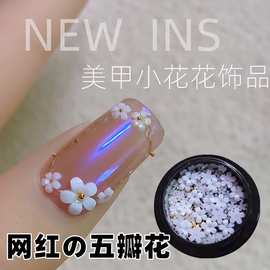 网红爆款小白花混装送小钢珠美甲小花朵饰品立体白色五瓣花图片