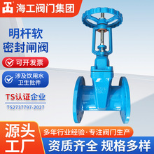 软密封开关闸阀Z41X-16Q球墨铸铁法兰弹性座明杆海工阀门集团水阀