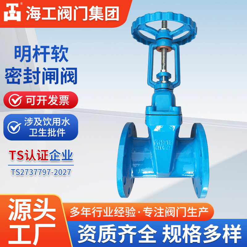 软密封开关闸阀Z41X-16Q球墨铸铁法兰弹性座明杆海工阀门集团水阀
