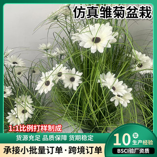 Simulated Daisy Potted Garden Fake Potted Plastic Ornaments Photography Props Simulated Daisy Home Decoration Potted Plants