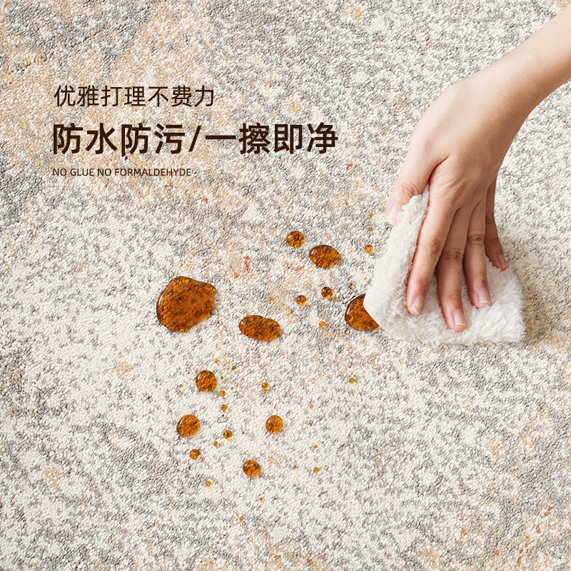 Alfombra de estilo nórdico, sala de estar para el hogar, alfombrilla de sentido avanzado personalizada