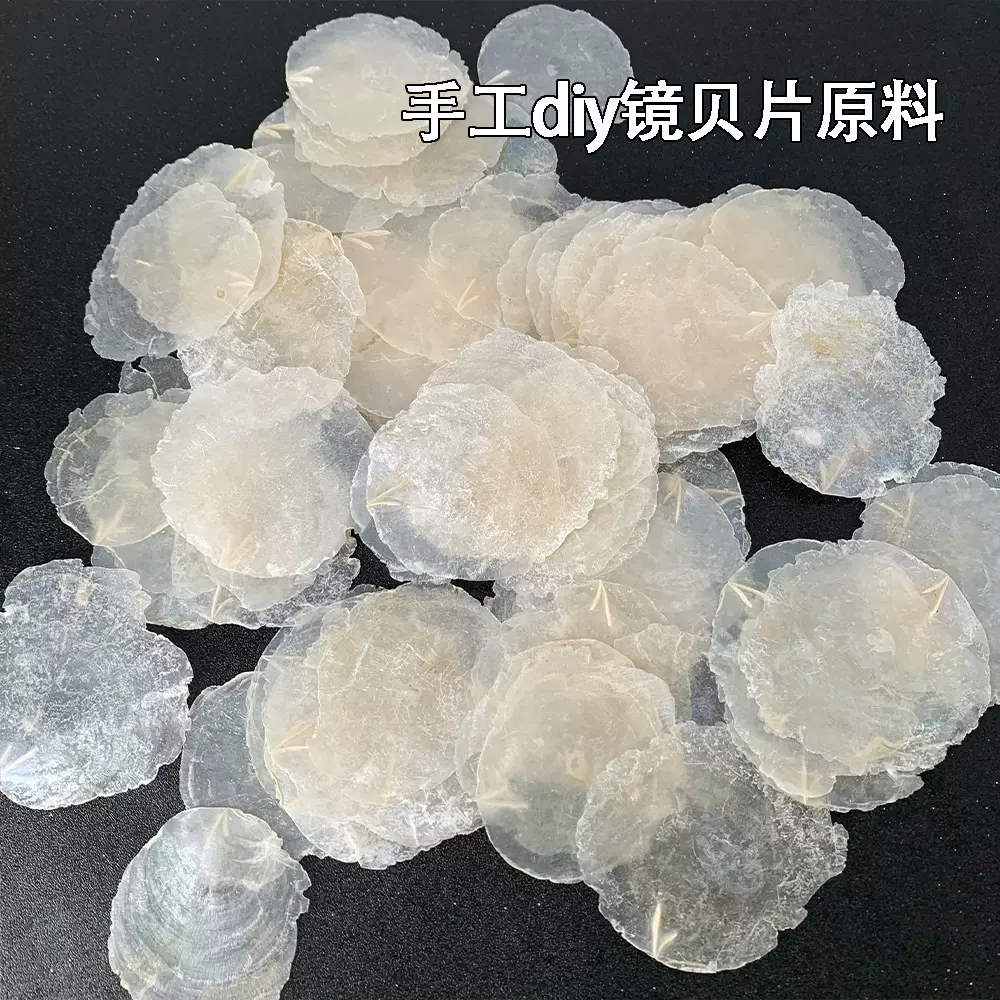 镜贝片 镜贝原料贝壳原料镜贝风铃配件装饰材料镜贝圆片天然贝壳