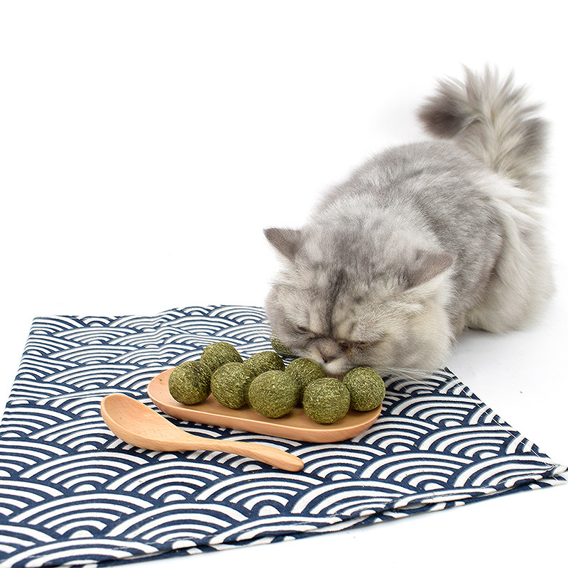 Venta directa de fábrica de menta para gatos