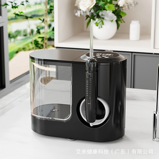Convenient Dental Rinser Customized Wholesale Desktop Electric Oral Care Home Dental Cleaner Water Flosser Tooth Cleaner