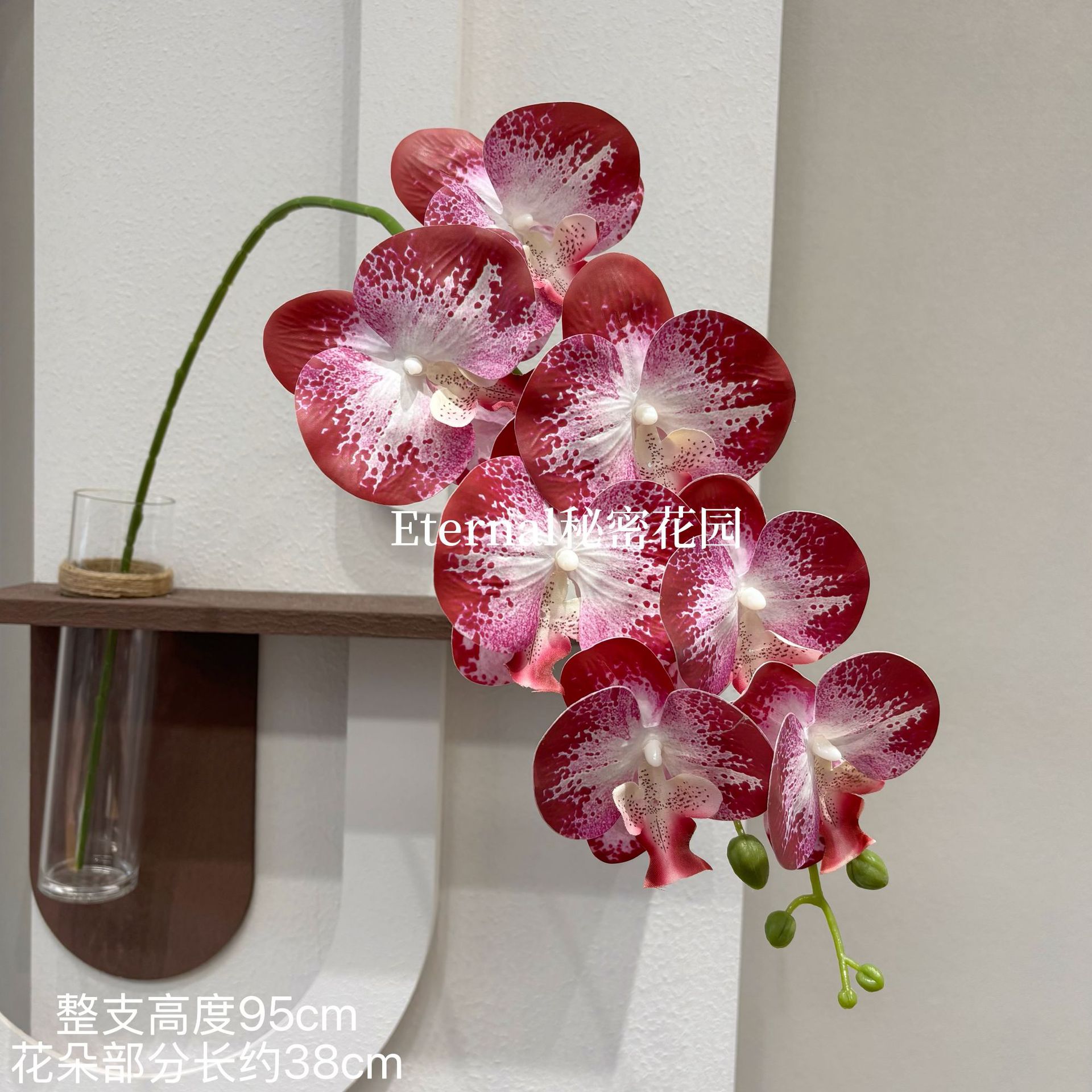 7 호접란 흰색 하트 레드