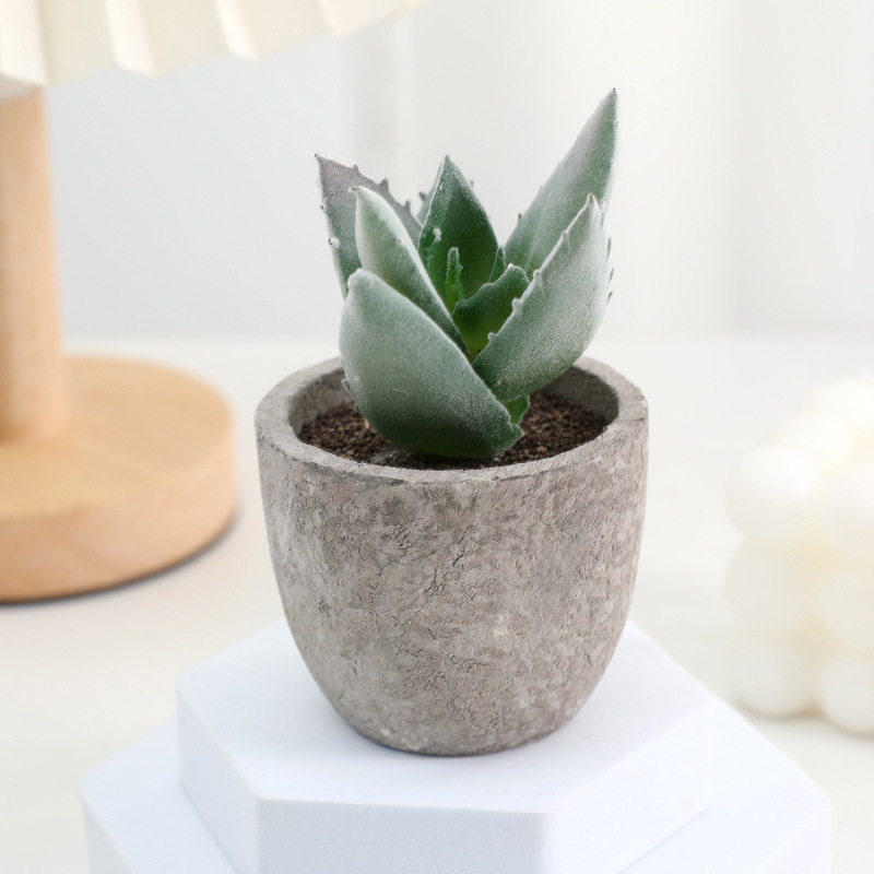 鉢植えのパルプの植毛の多い肉の鉢植えの家庭のデスクトップの事務室の置物をシミュレーションします。|undefined
